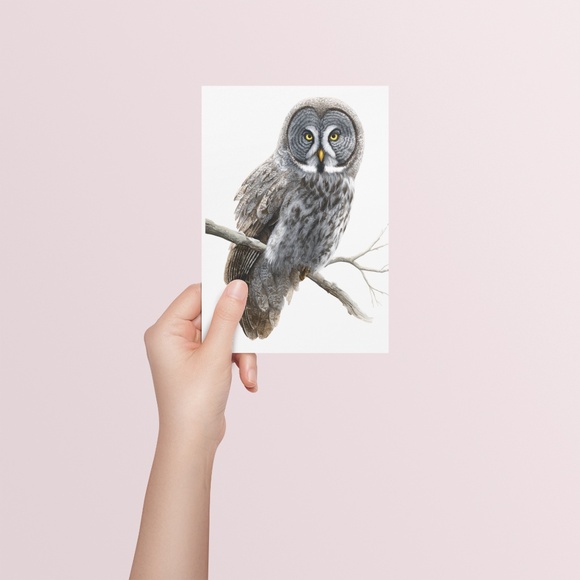 Watercolor Great Grey Owl Portrait Wall Art Print Poster, Unframed - Picture 5 of 6
